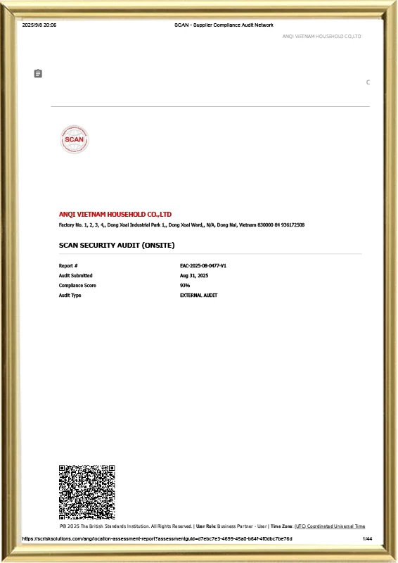 Informe de auditor&iacute;a de SCAN